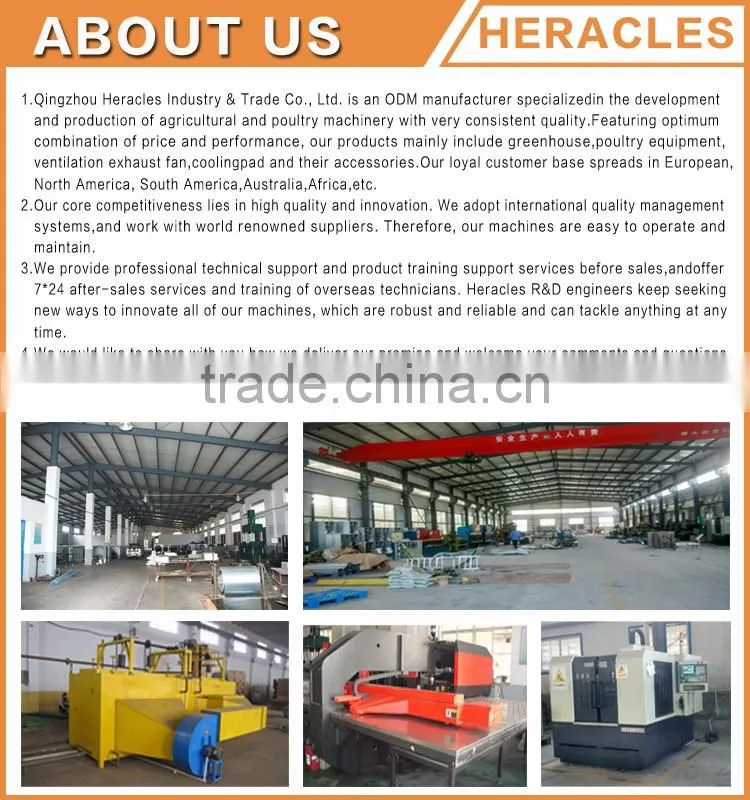 China factory price trade assurance poultry farming equipment -feeders and drinkers