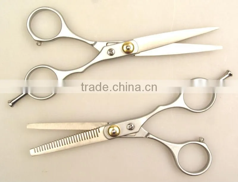 2PC Hairdesser Scissors Set