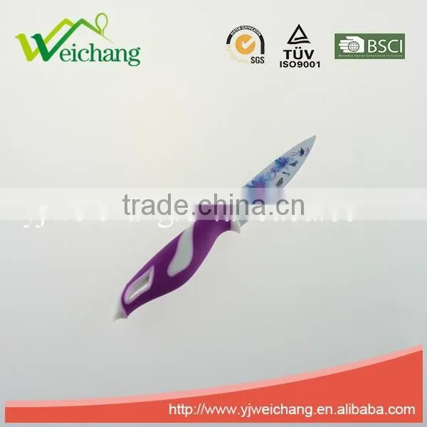 WCE568 5 pcs set Kitchen Knives artwork painting blade PP+TPR handle , hot sale, Wholesale