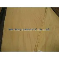 New Stary Industrial Co.,Ltd company overview - view 1