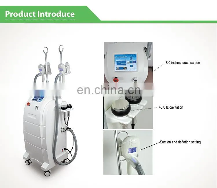 cryolipolise with 4 handles fat freezing cryotherapy machine