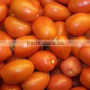 Fresh Tomatoes