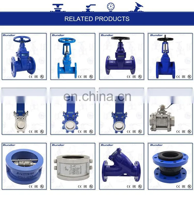Bundor Valve Water Seal Gate Valve flange Gate Valve