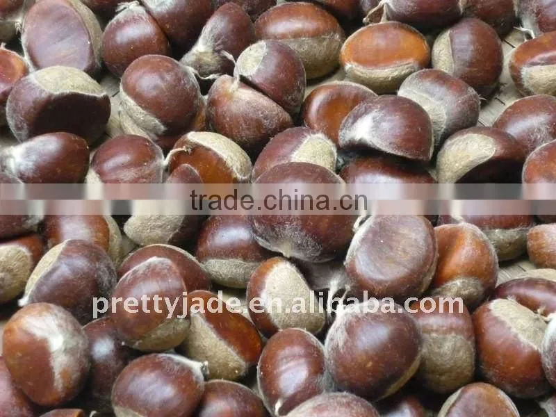 Chinese Fresh chestnut