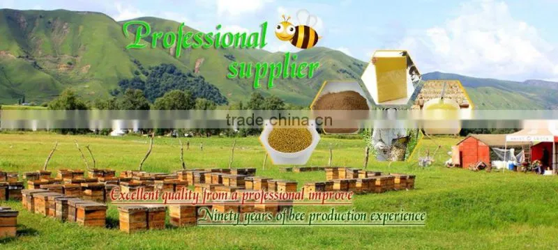98% propolis powder