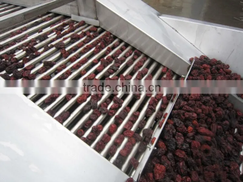 red dates processing line