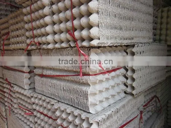 Mold recycle biodegradable molded fiber paper pulp egg trays price for sale manufacturers