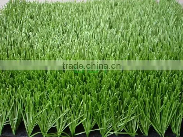 School football field use C shape turf grass