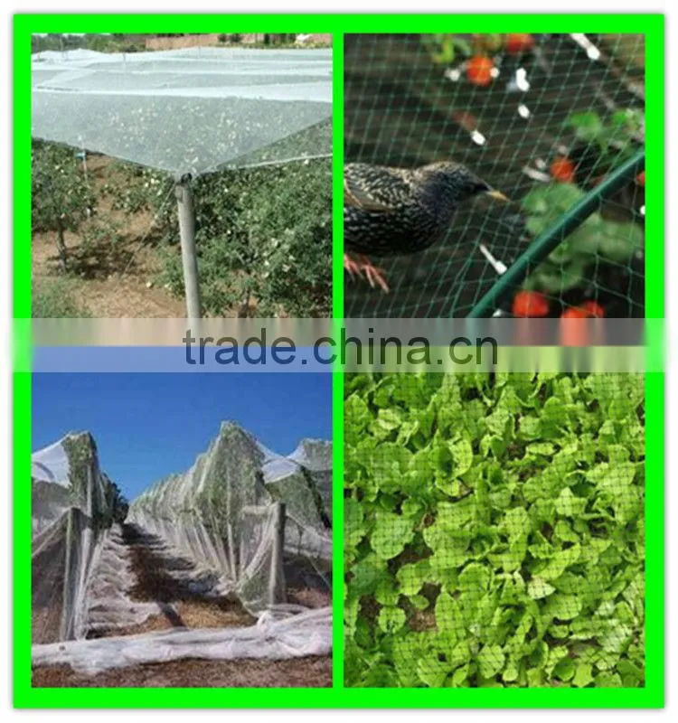 high quality PE cultivation protection plastic anti-bird mesh