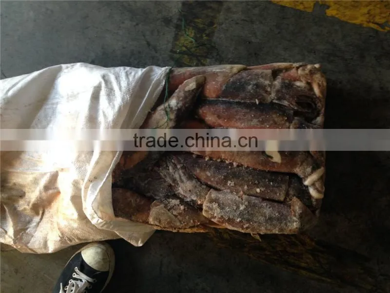 new arrival frozen W/R illex argentinus frozen squid for sale
