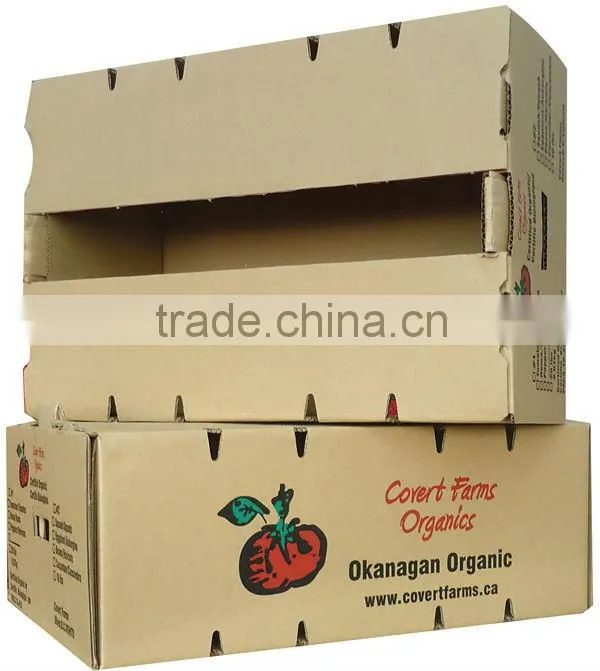 Corrugated carton box for frozen fruit vegetable packaging