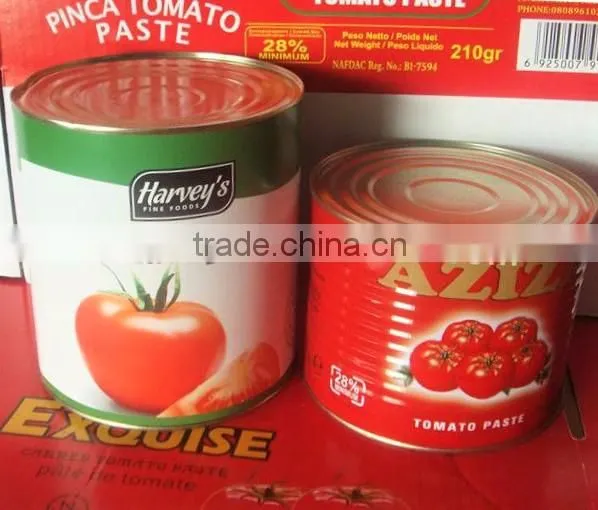 Double Concentrate Canned Tomato Paste Factory Size 70g~3000g.
