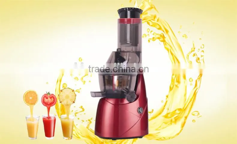 Large Diameter Slow Juicer