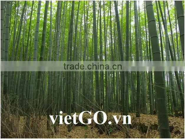 Cheap Price Bamboo Pole