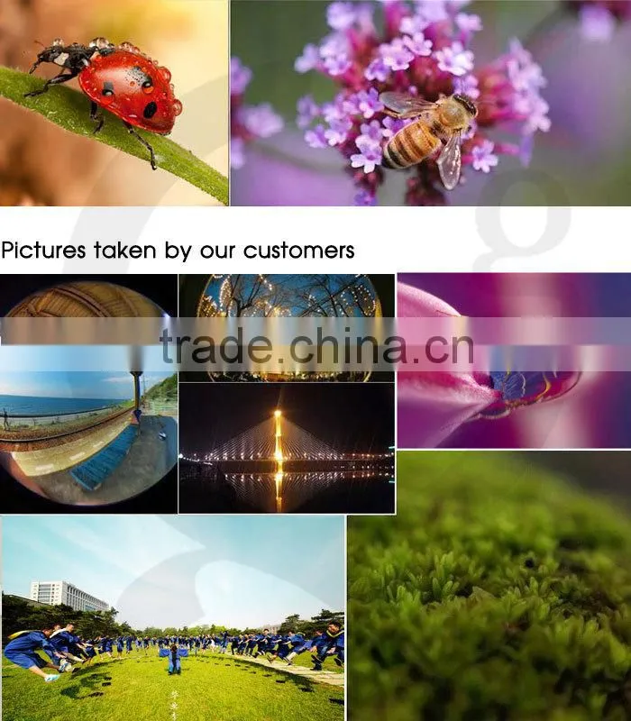 best selller moible phone lens, macro+wide angle lens for iphone 5 5s