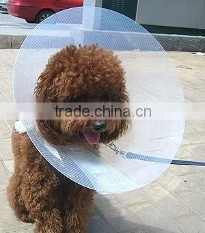 Pet Protection Collar