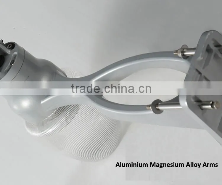 6w led apple IP65 PIR sensor solar led garden light