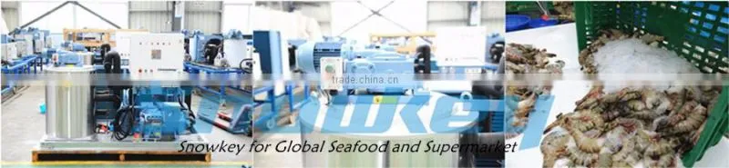 2016 Year newest design small size 2500 kgs per day flake ice machine with air cooling condenser