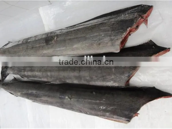 frozen sailfish HG frozen sea food