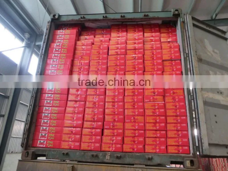 70g 56g stand pouch tomato paste double concentrated 28-30%
