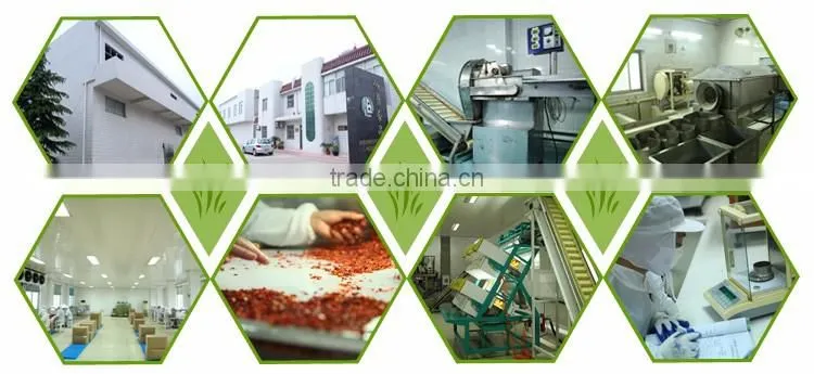 Professional Spices Manufacturer farm green,red bell pepper price for salad, soup
