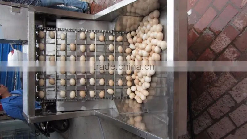 FT-200 High Capacity Boiled Chicken Hen Egg Shelling Breaking Peeling Machine