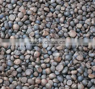 no fertilizer & no pesticide camellia oil seed/tea seed USDA NOP organic certificate