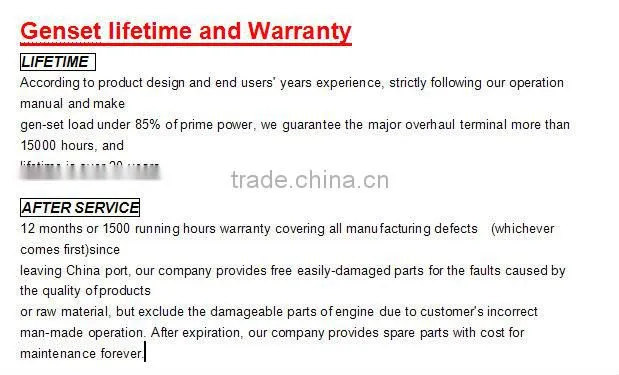 Camda 200KW biogas/natural gas generator