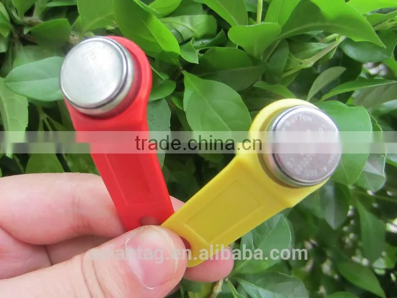 DS/TM1990A/1990D TM card ibutton, electronic key