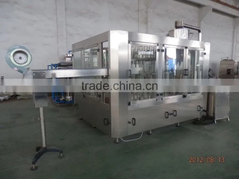 Professional Automatic Fresh Fruit Juice Production Line (Turkey Project)