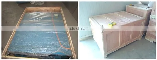 Easy operation garlic separator machinery/garlic clove separating machine good selling
