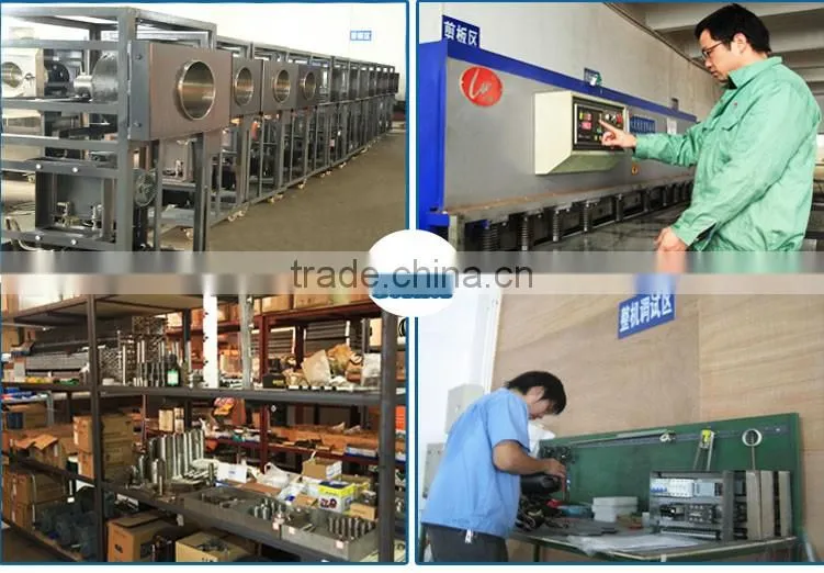 Mini IQF Vegetable Freezer