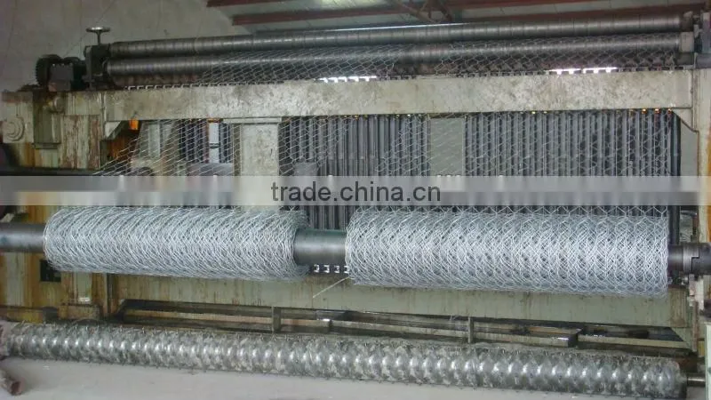 pvc coated hexagonal wire netting/gavanized hexagonal wire netting/chicken fence