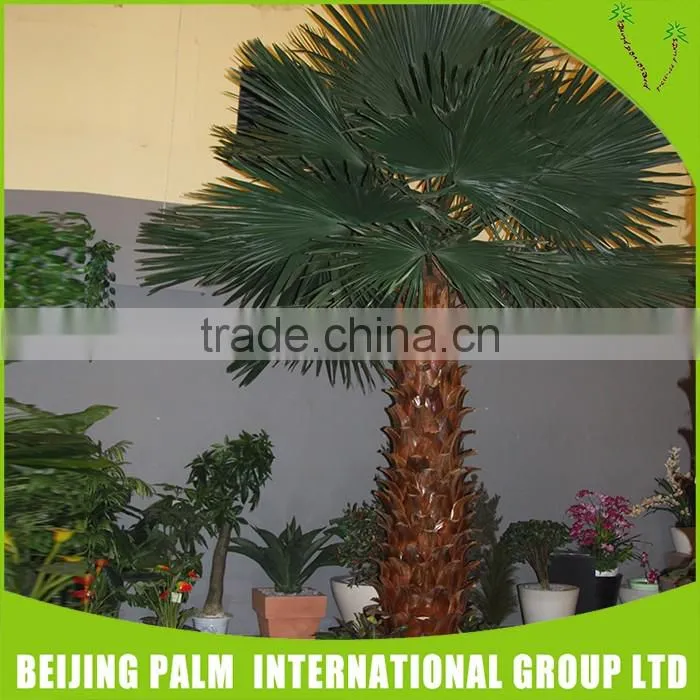 Artificial Different Kinds Of Washington Palm Trees Artificial Plants