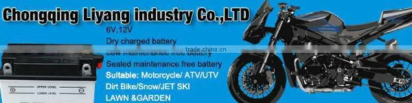 Maintenance Free Battery (For Vehicle)