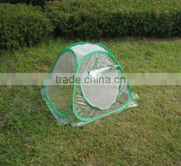 garden green house