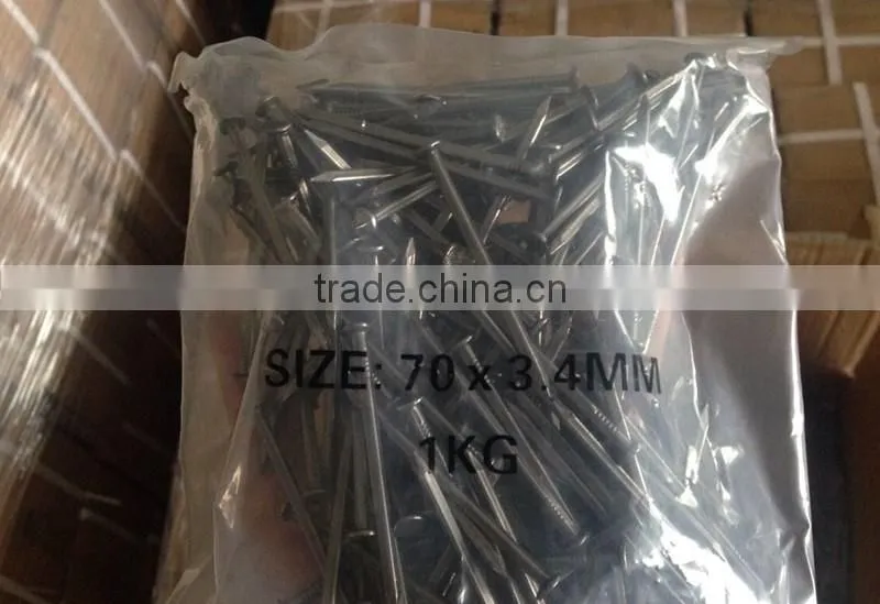 Cheap Price Hot Dipped Galvanized Boat Nails Square Shank Boat Nails