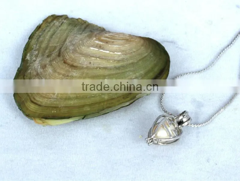 Wish pearl and love pearl gift jewelry (beige) English version