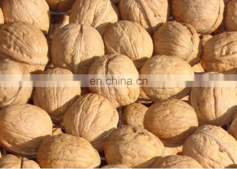 Automatic almond walnut shelling cracking cracker machine in United States