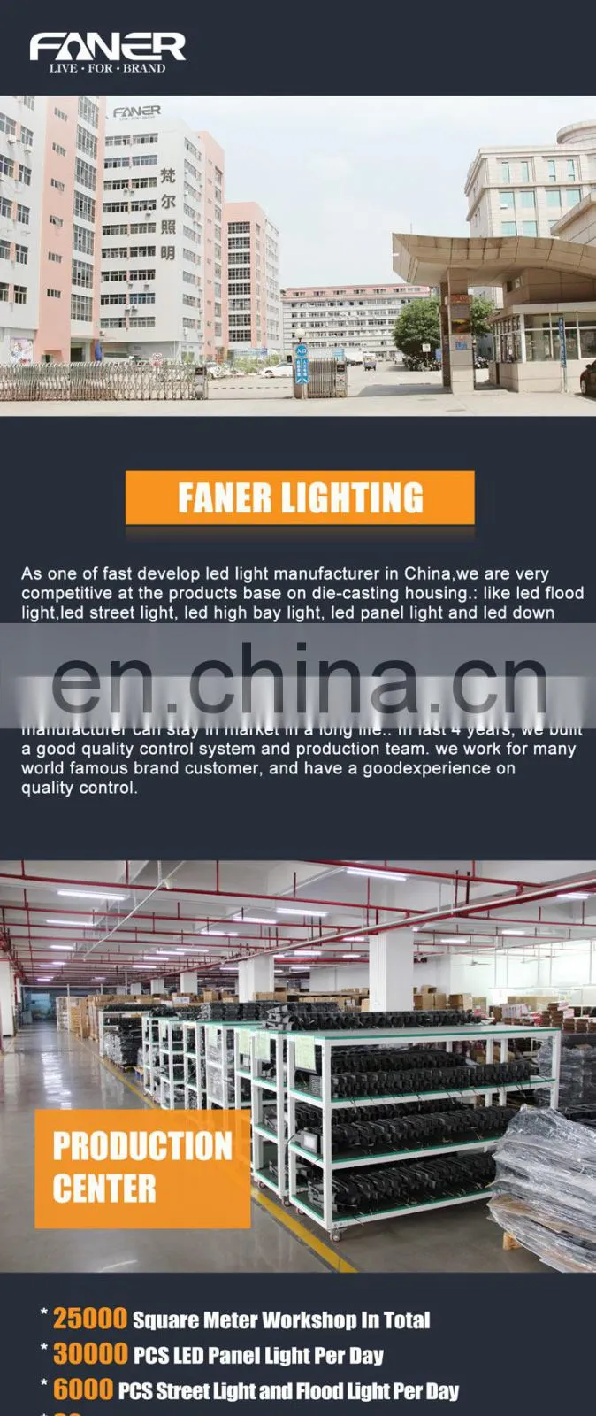 Faner BIS certification high quality new design IP66 10W 20W 30W 50W 100W 150W 200W LED flood light