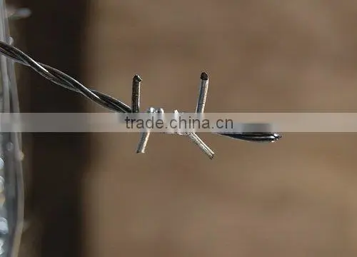 galvanised barbed wire( ANPING exporter and factory)