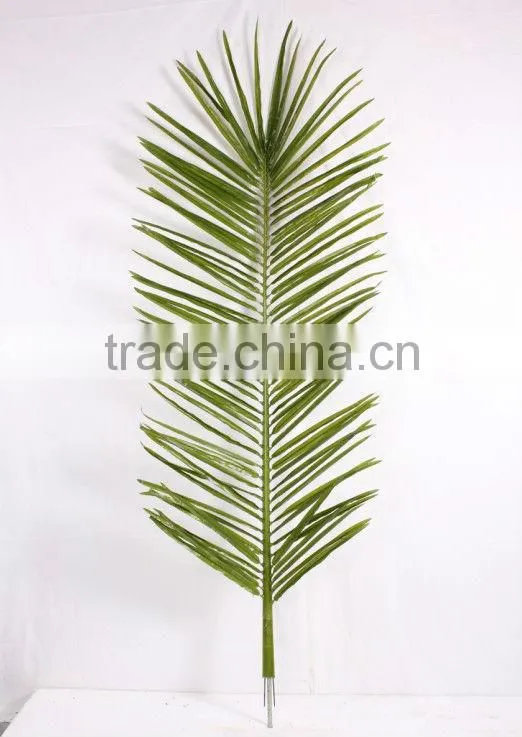 coconuts leaves price
