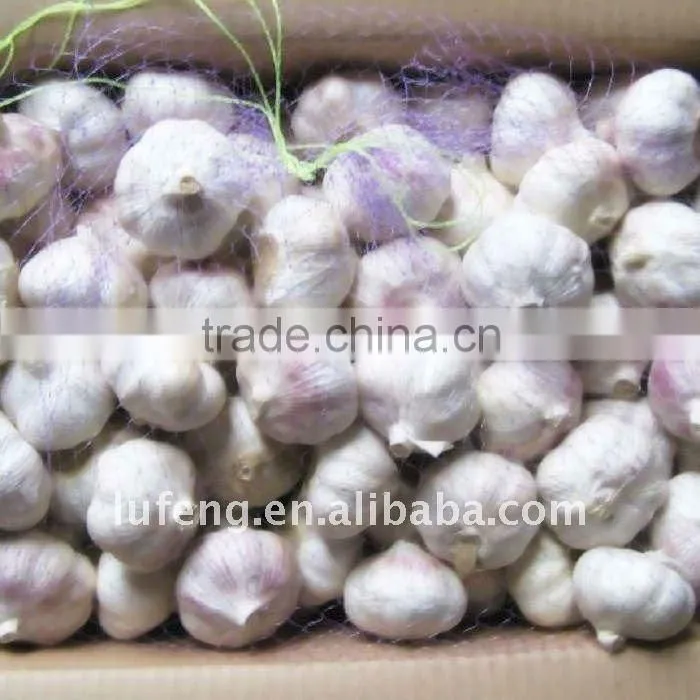 Chinese Fresh Garlic