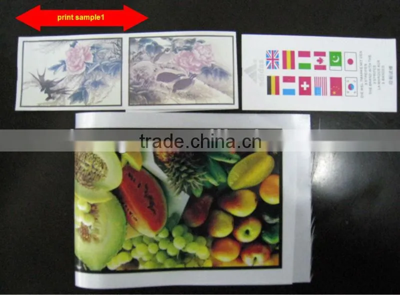 Flexographic press for ribbon