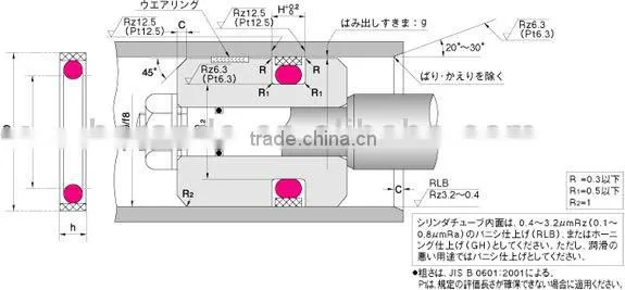 Hydraullic cylinder seal SPGO Seal Glyd Ring spgo piston seal