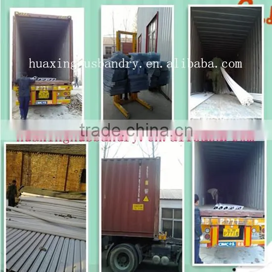 chicken broiler /cock cage with automatic poultry equipment