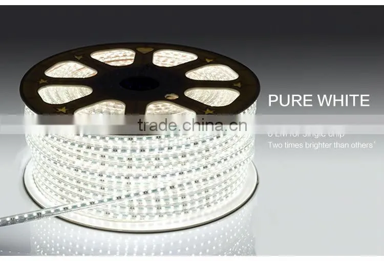 Shanghai MAYWIN 3528 led strips 120leds per meter smd strip lights 3528 for 220v 50% off