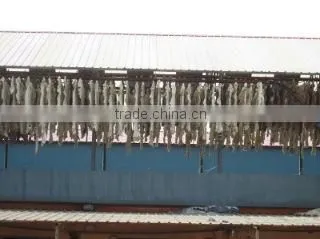 Qinyang Xingyue Industry Co., Ltd. company overview - view 3