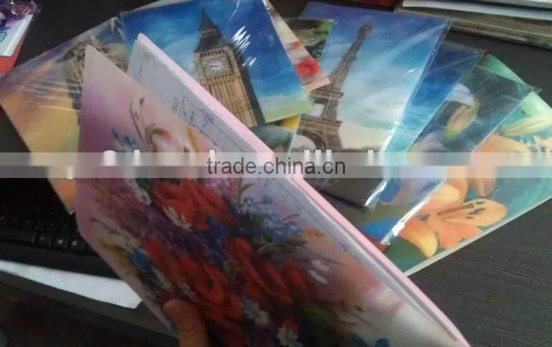 Lenticular 3D PP plastic file folder, PP Lenticular A4 file folder,for gifts and promotion
