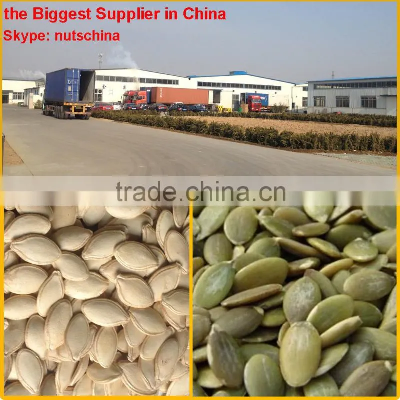 shine skin pumkin seed kernels